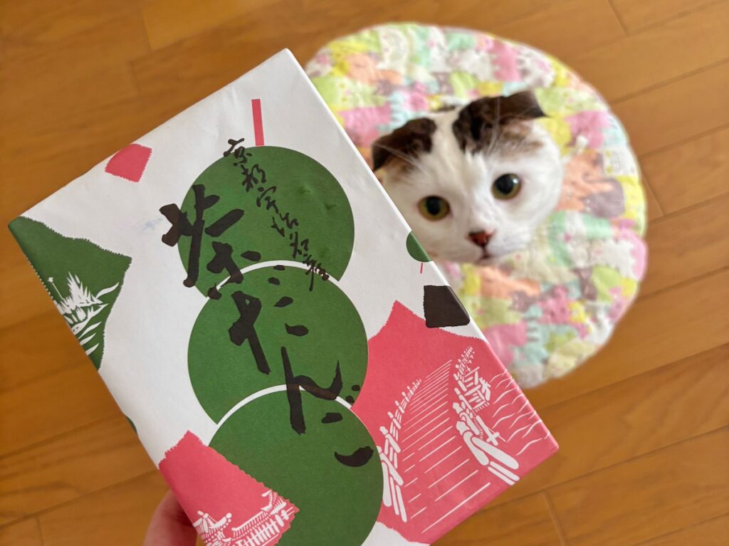 オレよりだんご？【いなほ、オレ物語。vol.239】ハチワレ とろろ
