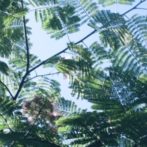 暑さがほどける音楽／MUSIC FOR BETTER LIFE #8 July 2025