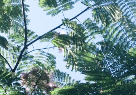 暑さがほどける音楽／MUSIC FOR BETTER LIFE #8 July 2025