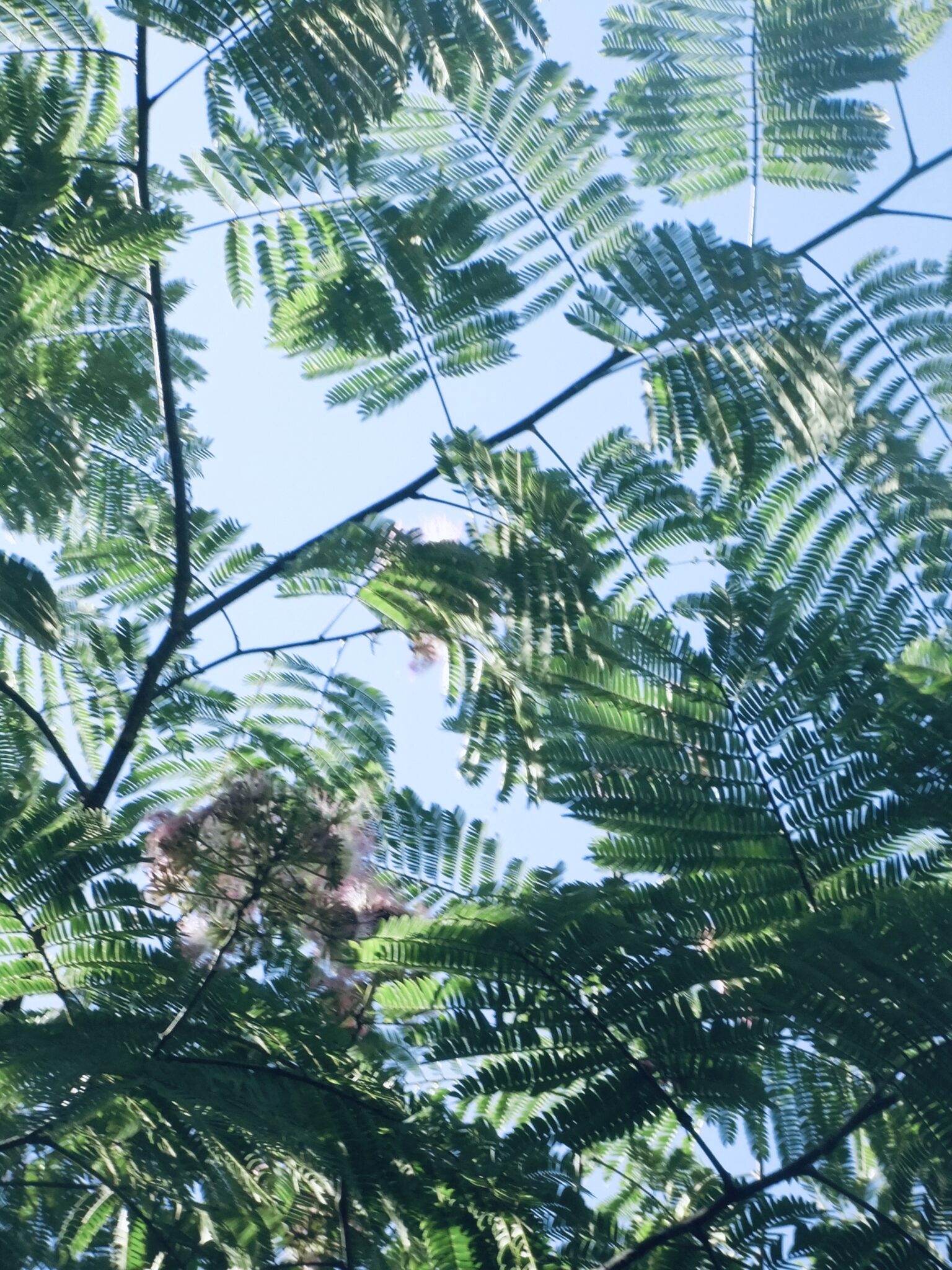暑さがほどける音楽／MUSIC FOR BETTER LIFE #8 July 2025