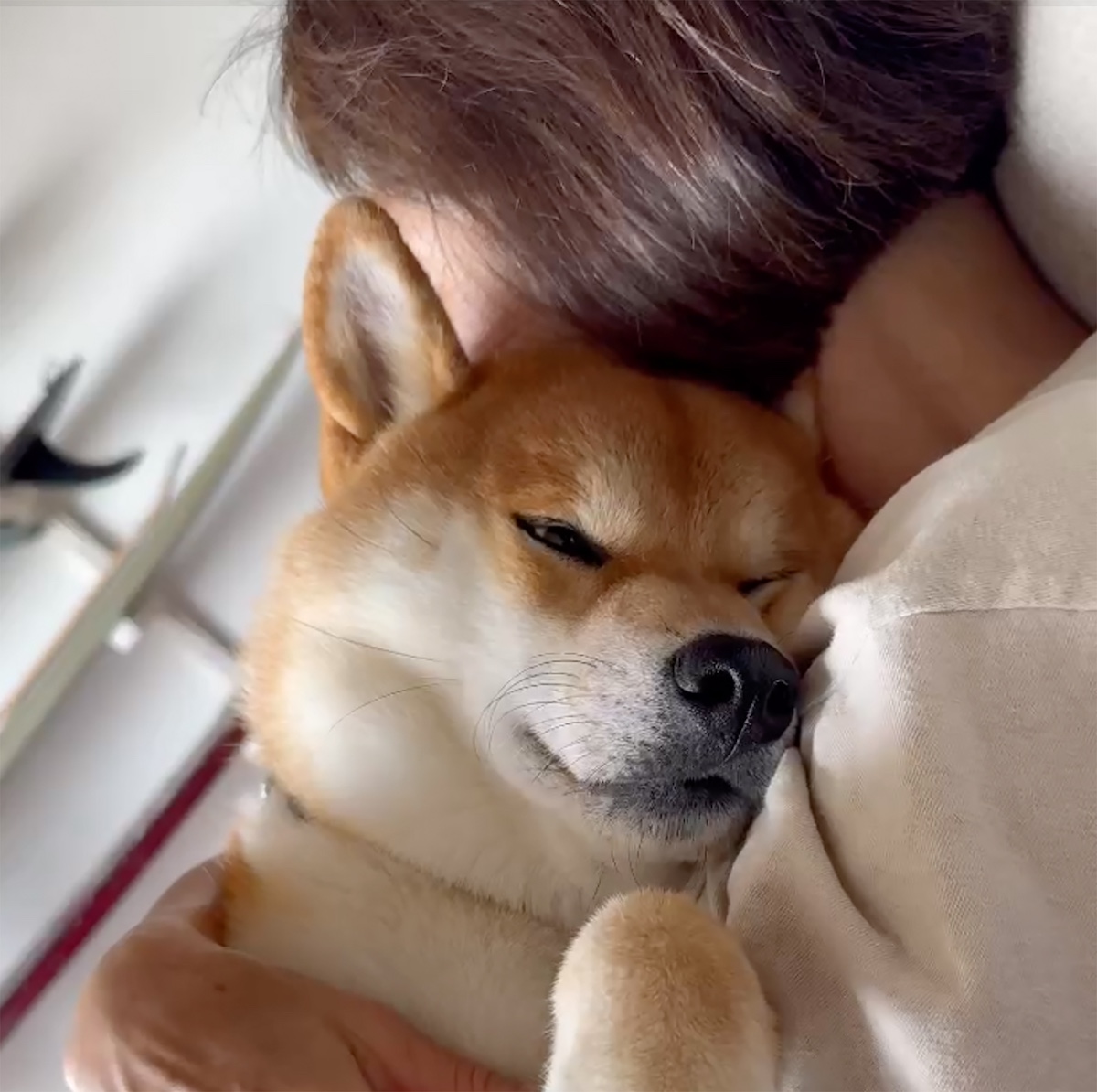 ハルくん、かーちゃん充電中。