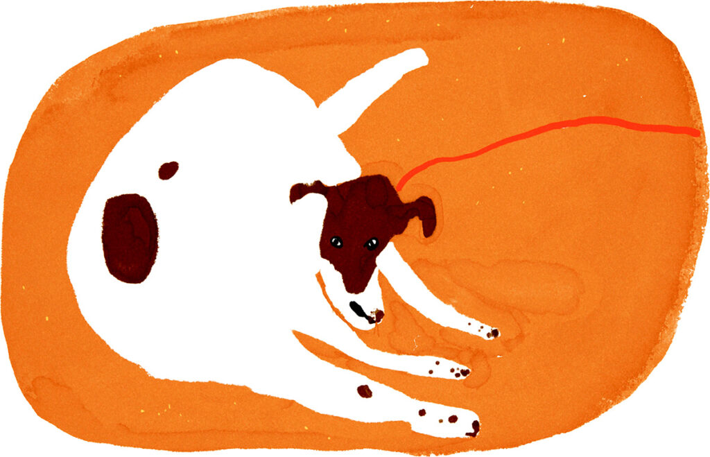 今日１日を、このイラストと。竹井 晴日 vol.16まぬけな犬