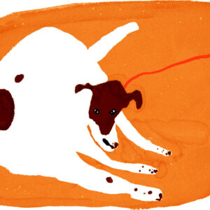 今日１日を、このイラストと。竹井 晴日 vol.16まぬけな犬 | まぬけな犬