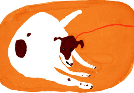 今日１日を、このイラストと。竹井 晴日 vol.16まぬけな犬 | まぬけな犬