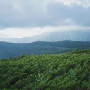 今月の写真家、今日の一枚。 柿崎 豪 | 雲ノ平