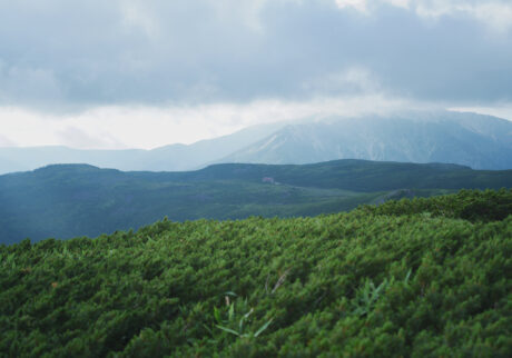 今月の写真家、今日の一枚。 柿崎 豪 | 雲ノ平