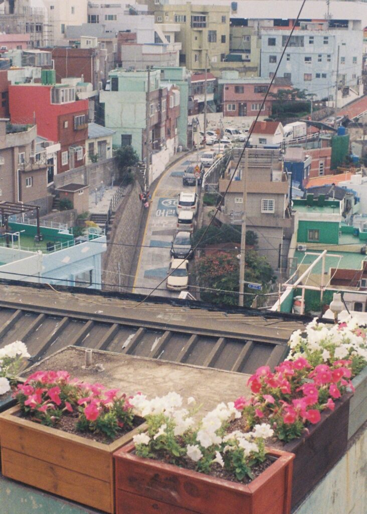 ふたたび「学生」になる人の話。写真と文:前田エマ (モデル) #2 ふたたび「学生」になる人の話。写真と文:前田エマ (モデル) #2