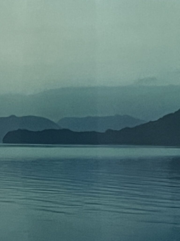 みどりに染まる瀬戸内海の一枚。写真と文：村上章裕 (『水尾之路』店主) #3
