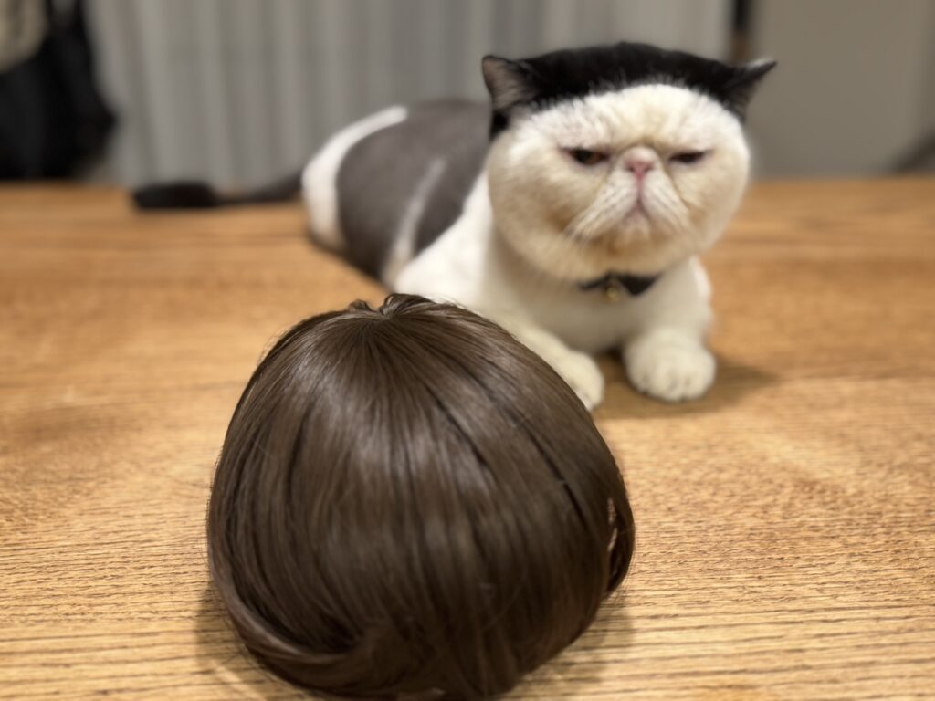 0801-1違和感ゼロでしょ？【おちょこ、ぽのぽのだより。vol.216】白黒猫 エキゾチックショートヘア おちょこ ちろり