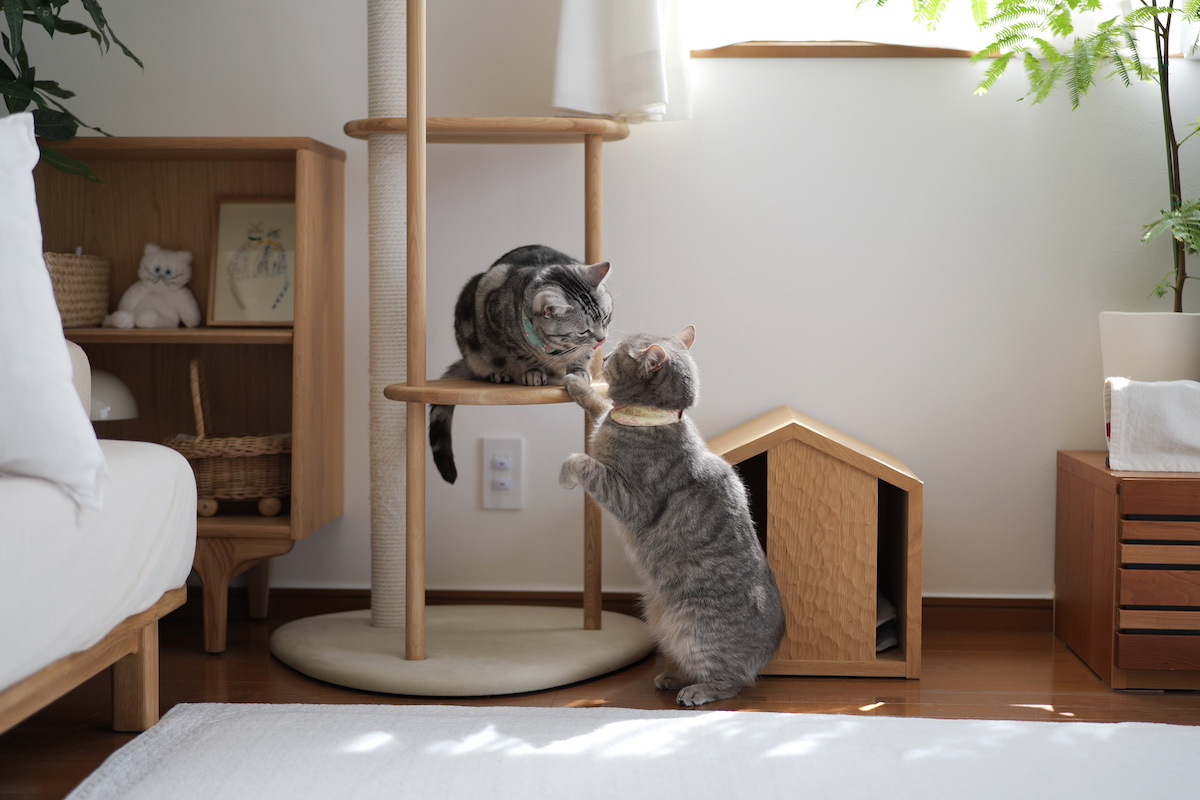朝のお仕事会議。【ししゃもとしらす、今日のふたりごと。vol.2】
