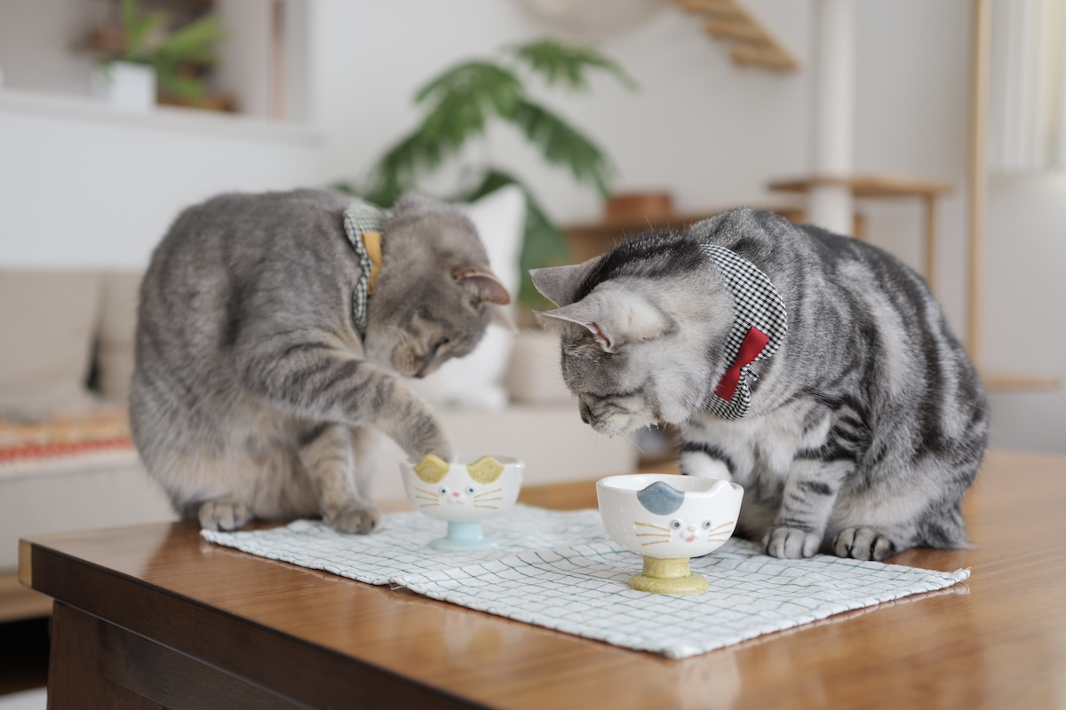 あの手この手で……。【ししゃもとしらす、今日のふたりごと。vol.24】