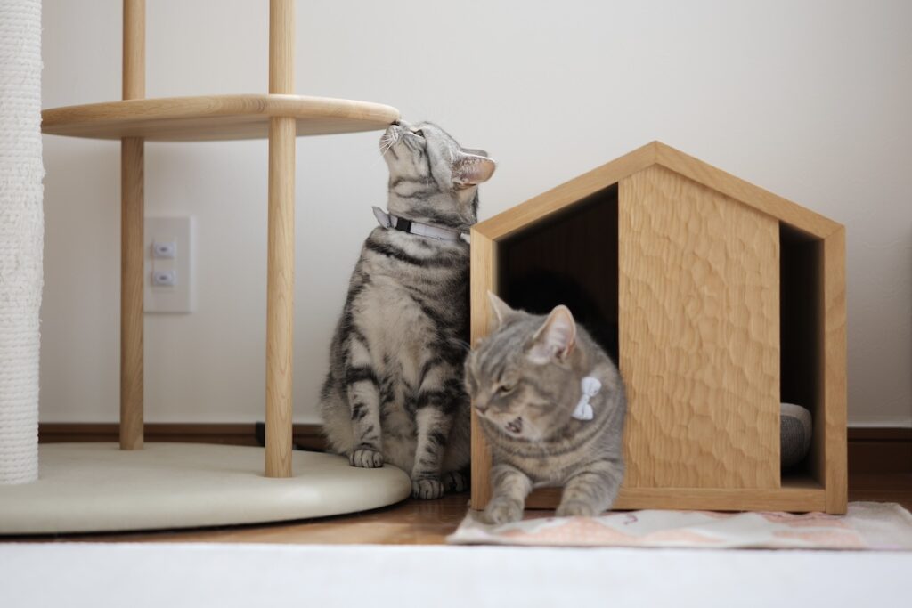 お別れの挨拶をするはずが……。 (最終回) | しらす（右）「ほんと、貴重な体験だったよね。毎日すごく楽しかったなあ」