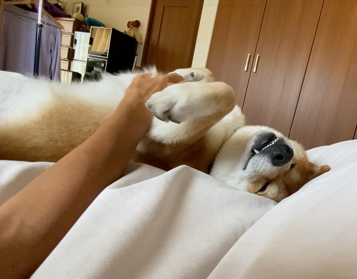 ハルくん、かーちゃんとだらだら。