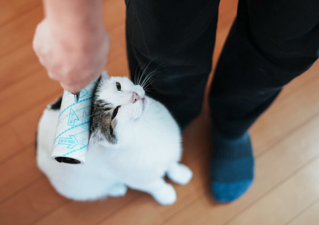 ぼく流、引きとめ作戦。【ぽくあむのハートフルデイズ。vol.24】白黒猫 保護猫 ぽくあむ | コロコロコロ。引きとめ作戦大成功だよ。