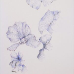 13 3. longing — 憧憬 | longing — 憧憬