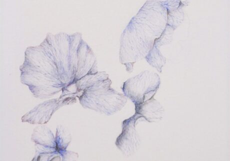 13 3. longing — 憧憬 | longing — 憧憬