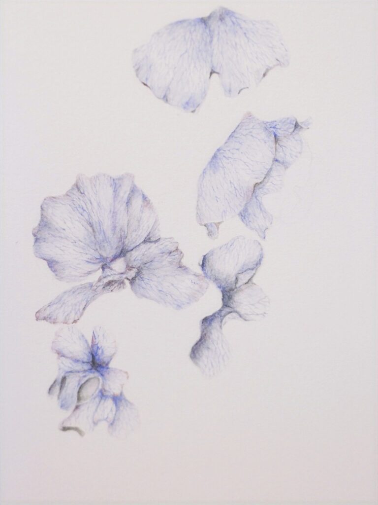13 3. longing — 憧憬 | longing — 憧憬 13 3. longing — 憧憬