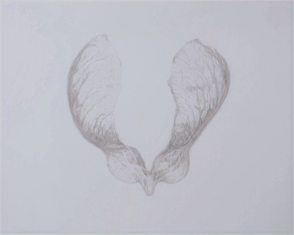 14 5. root — 根
