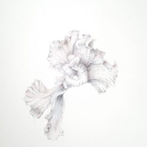 15 1. tender — 優しさ | tender — 優しさ