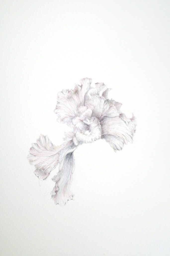 15 1. tender — 優しさ | tender — 優しさ 15 1. tender — 優しさ