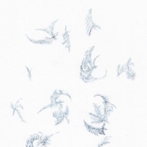 16 hushfall ― 静けさの降下 | hushfall ― 静けさの降下