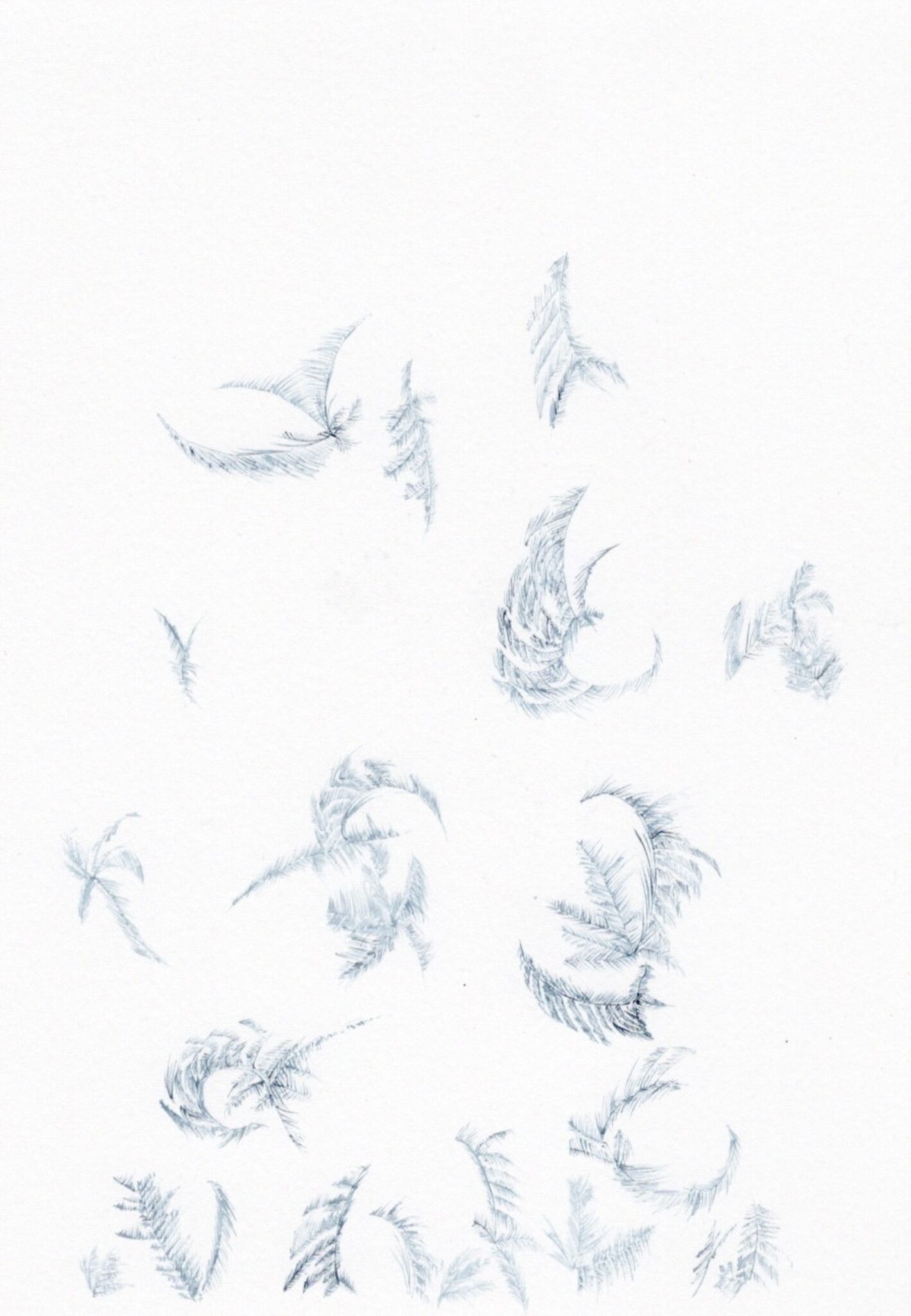 今日１日を、このイラストと。大脇 勇人vol.16