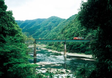 高知・四万十町から愛媛・宇和島へ。のんびりと列車に揺られる旅。十川駅から半家駅間の橋梁を疾走する「かっぱうようよ号」。 四万十川の雄大な自然を堪能できる十川駅から半家駅間。予土線には「予土線3兄弟」と呼ばれる3種類の観光列車があり、橋梁を走るのはプラモデル・フィギュアメーカー海洋堂が手がけたホビートレイン「かっぱうようよ号」。四万十川に伝わるかっぱ伝説をモチーフに、車体には清らかな川を楽しむかっぱたちが描かれる。観光列車をはじめ、予土線の運行は本数が限られているので、気になる列車は計画的に乗車するのがおすすめ。 | 十川駅から半家駅間の橋梁を疾走する「かっぱうようよ号」。
四万十川の雄大な自然を堪能できる十川駅から半家駅間。予土線には「予土線3兄弟」と呼ばれる3種類の観光列車があり、橋梁を走るのはプラモデル・フィギュアメーカー海洋堂が手がけたホビートレイン「かっぱうようよ号」。四万十川に伝わるかっぱ伝説をモチーフに、車体には清らかな川を楽しむかっぱたちが描かれる。観光列車をはじめ、予土線の運行は本数が限られているので、気になる列車は計画的に乗車するのがおすすめ。