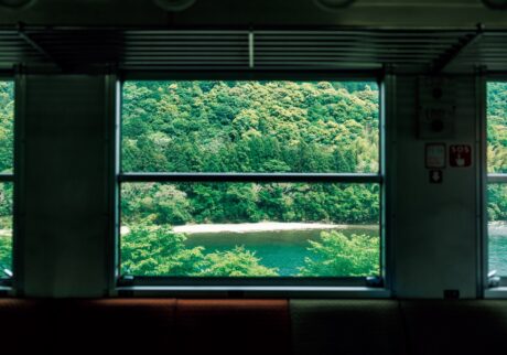 四万十川とともに生きる町。流域の歴史や文化を知る。 車窓で切り取られた絵画のような風景が見渡す限り続く。四万十川流域は手つかずの場所もあるが、古くから漁労の場であり、船の航路であり、人々の暮らしを支えてきた。高知・四万十町から愛媛・宇和島で、のんびりと列車に揺られる旅。 | 四万十川とともに生きる町。流域の歴史や文化を知る。
車窓で切り取られた絵画のような風景が見渡す限り続く。四万十川流域は手つかずの場所もあるが、古くから漁労の場であり、船の航路であり、人々の暮らしを支えてきた。