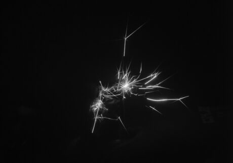 今月の写真家、今日の一枚。稲垣 謙一 | spark