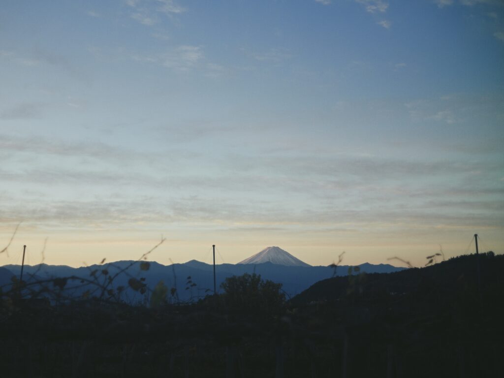 日常の中に果物がある風景。山梨市、甲州市。写真と文：仁科勝介 (写真家) #2