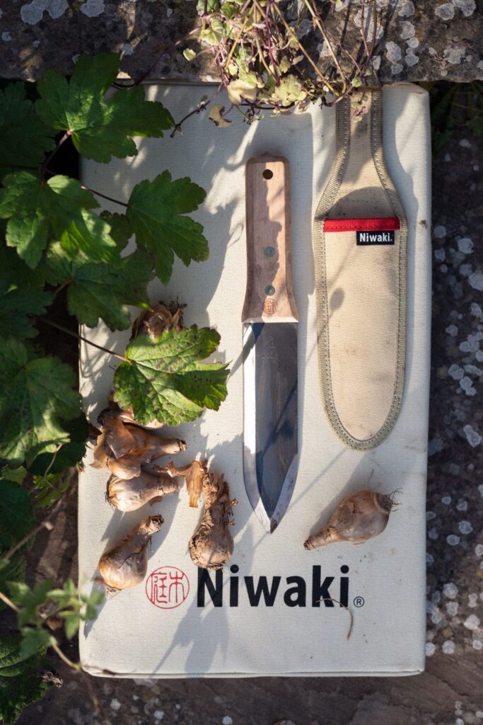 日本の庭木に惹かれて。写真と文：ジェイク・ホーブソン (〈ニワキ〉ファウンダー)