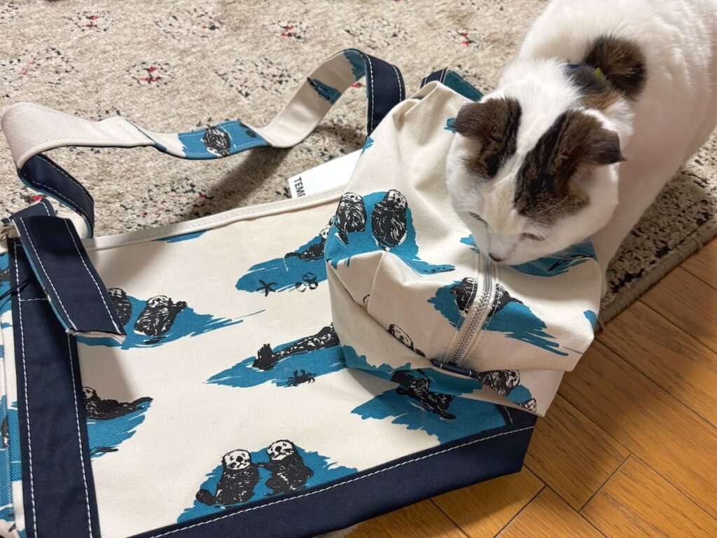 ラッコ愛、とまらへんで。【いなほ、オレ物語。vol.248】スコティッシュフォールド いなほ | そんな飼い主が大好きなブランド〈テンベア〉から、まさかのラッコ柄がでたんやて！ かわいいなぁー！