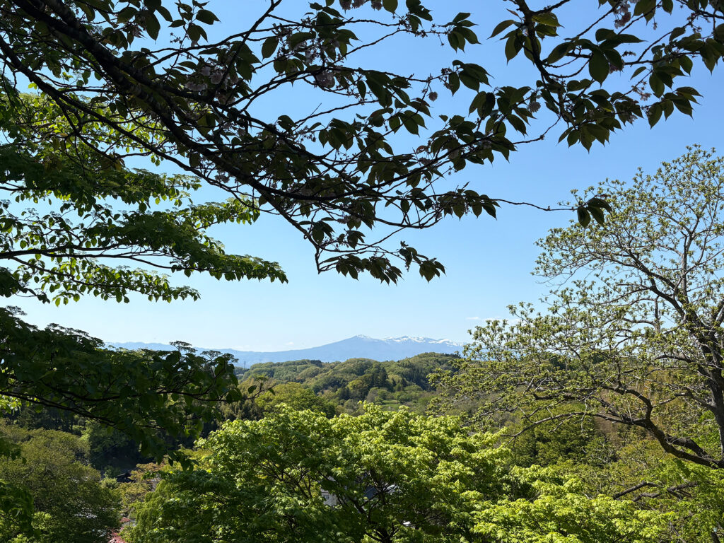 福島・三春町に移住して。写真と文:長谷川 ちえ (『in-kyo』店主、エッセイスト) #1 福島・三春町に移住して。写真と文:長谷川 ちえ (『in-kyo』店主、エッセイスト) #1