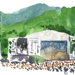 今日1日を、このイラストと。アイザワ ディーン vol.28 fujirock | Fuji Rock (2025) 今日1日を、このイラストと。アイザワ ディーン vol.28 fujirock | Fuji Rock (2025)