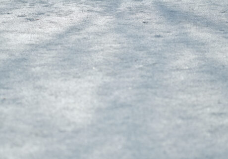 6_shadow | shadow