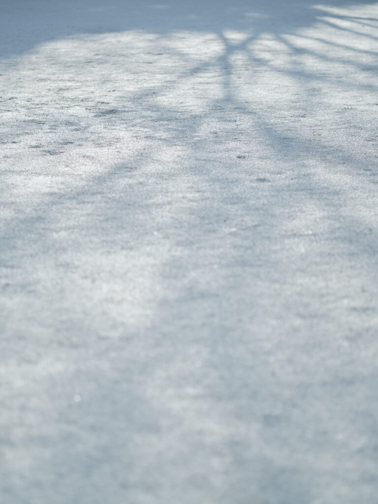 6_shadow