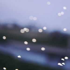 10_midges | midges
