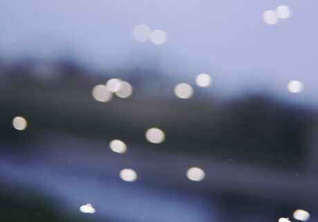 10_midges | midges