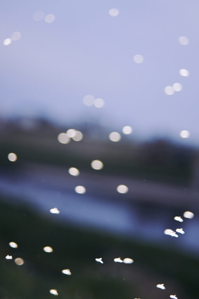 10_midges