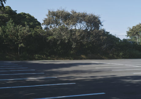 15_landscape2 | landscape2