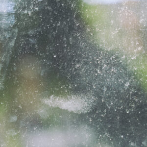 17_window | window