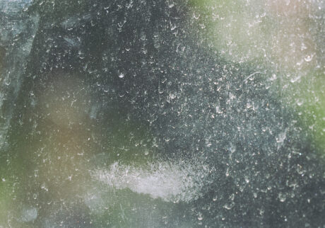 17_window | window