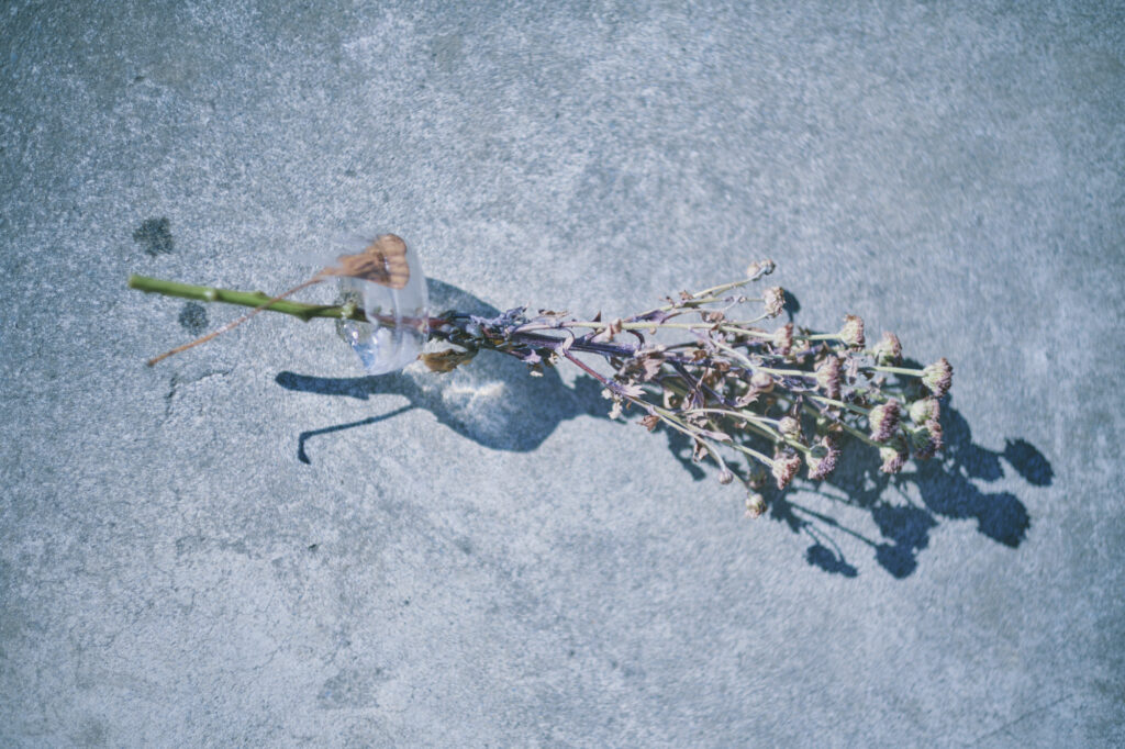 19_flower