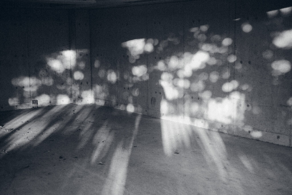25_brilliance