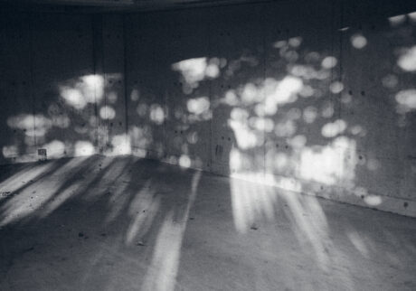 25_brilliance | brilliance