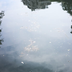 26_reflection | reflection