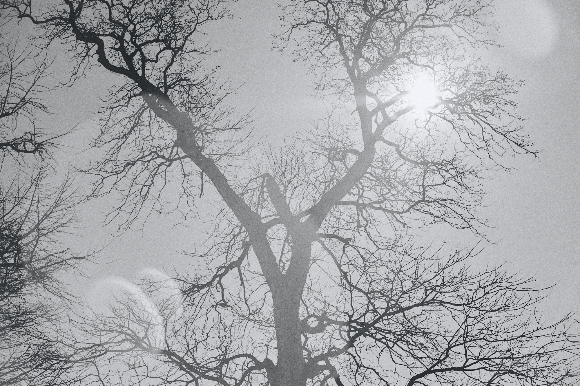 今月の写真家、今日の一枚。稲垣 謙一 vol.30