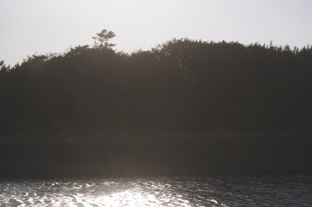 31_landscape4 | landscape4 31_landscape4