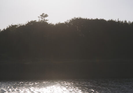 31_landscape4 | landscape4 31_landscape4 | landscape4