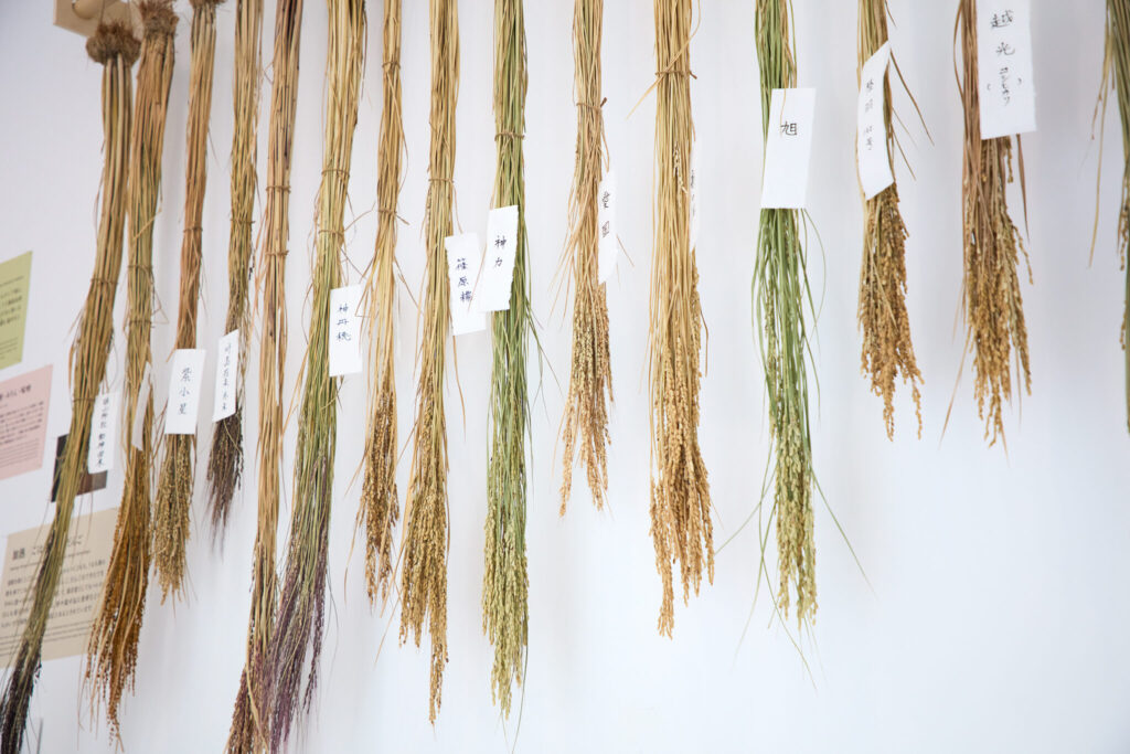 料理人・野村友里さんが主宰する展覧会「Life is beautiful: 衣・食植・住展」が、2年ぶりに東京・表参道の『GYRE GALLERY』で開催。